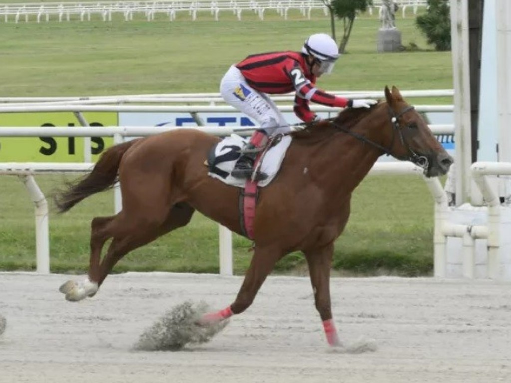 Foto: Maroñas: Olympic Harvard, Bet Law e Bang Bang Boom comandaram final de semana brasileiro.