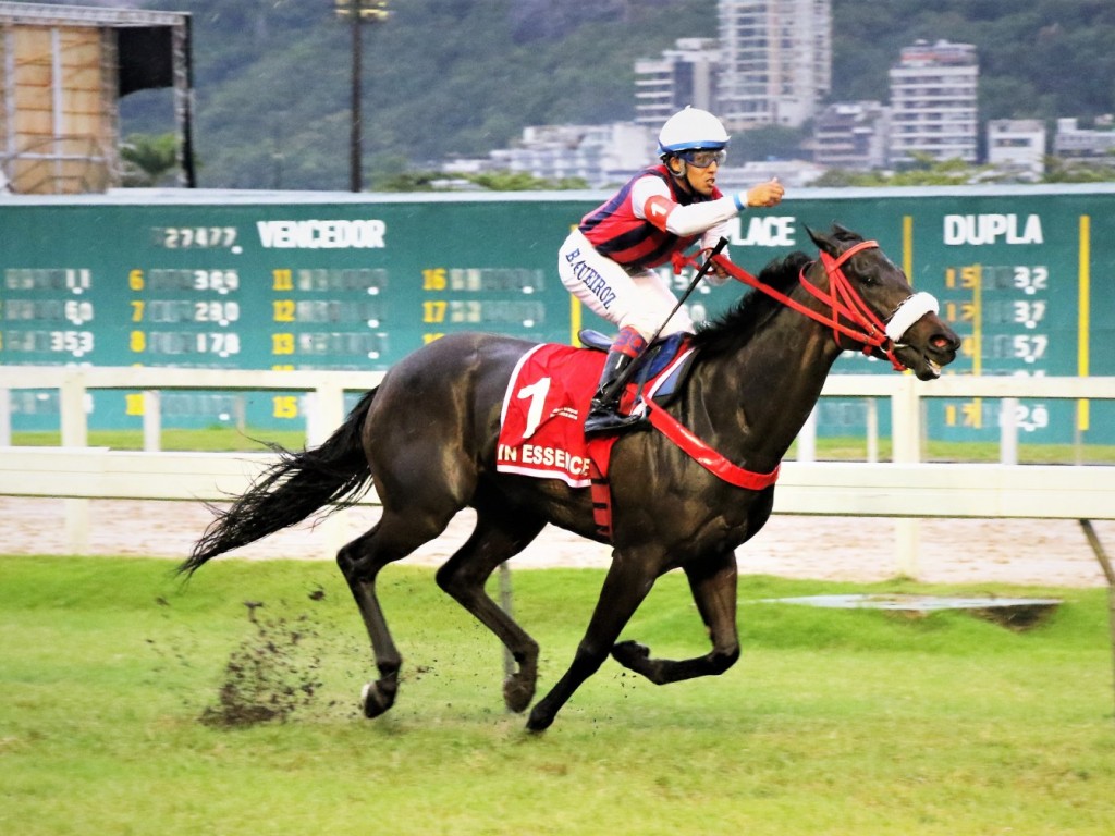 Foto: In Essence mantém rotina de vitórias clássicas na Gávea