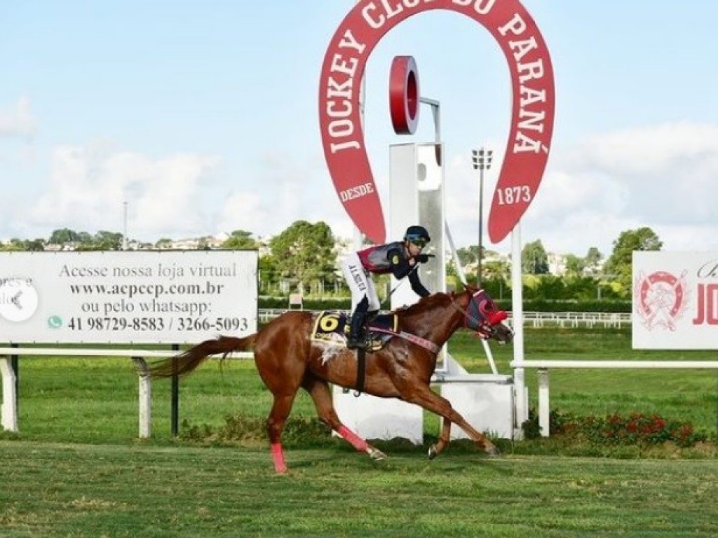 Foto: Pegasus Sprint: Oriana do Iguassu dá show e bate o segundo recorde em menos de um mês