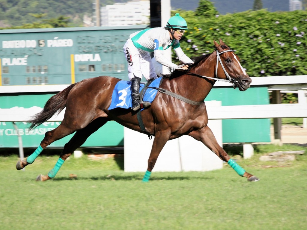 Foto: Hard Choice conquista a Prova Especial João Vieira