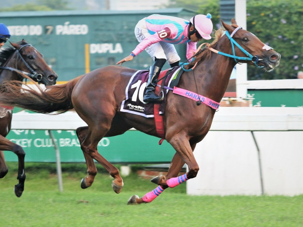 Foto: Justice Girl conquista batismo clássico no GP Roger Guedon (G3)