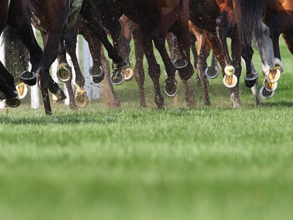 Foto: Copa Precocidade e Velocidade: chamada e lista de inscrições por hipódromo