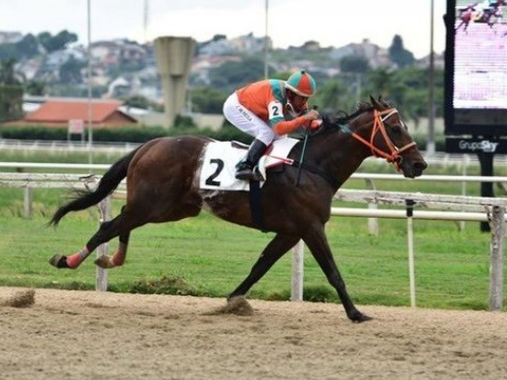 Foto: Tarumã: Henrique Eight inaugurou a chamada nobre em 2022