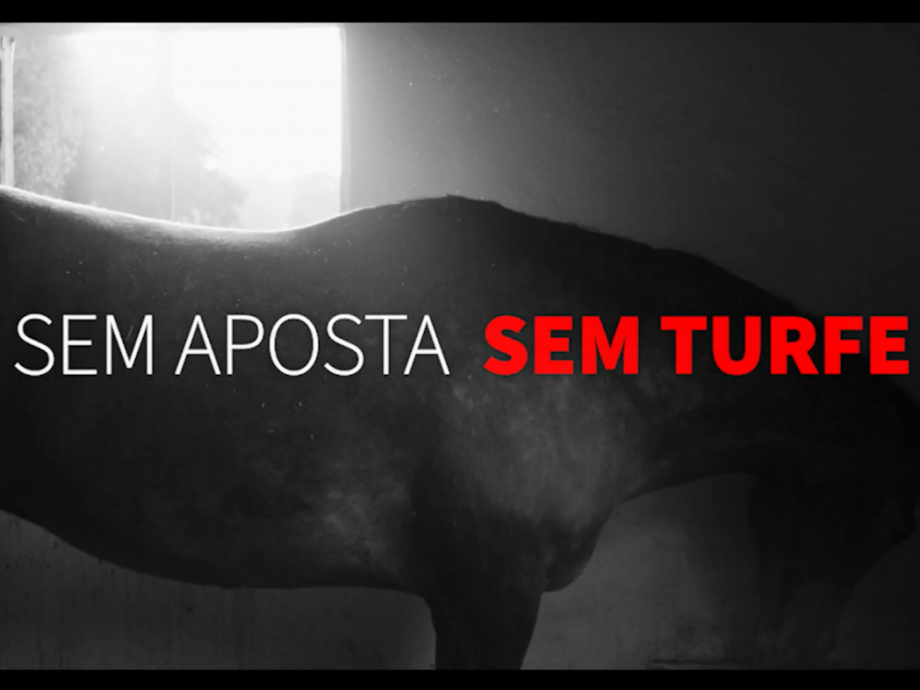 Foto: Sem aposta, sem turfe: aposte somente nos sistemas oficiais