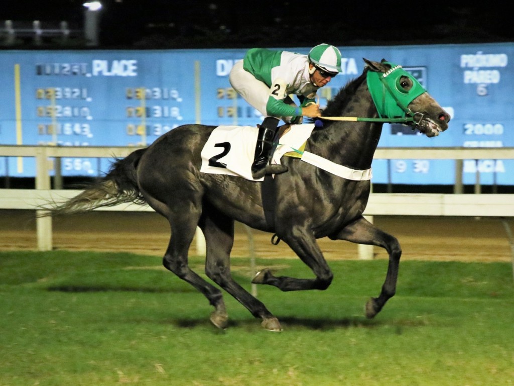 Foto: A caminho da 2ª prova da tríplice coroa, Regal Eurus vence com facilidade