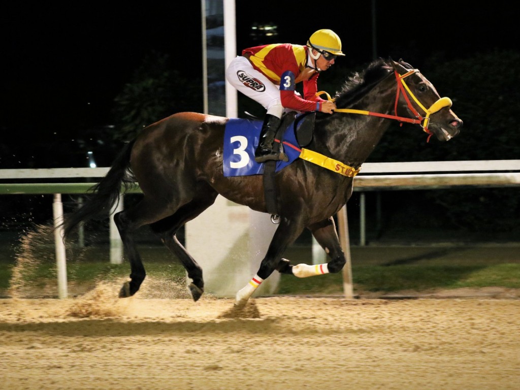 Foto: Rateando 19 por 1, Tenacious prevalece na Prova Especial Helíaco