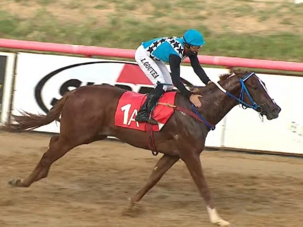 Foto: Sonhador Vi e Queen of Clubs ratificam lideranças e abrem a tríplice coroa juvenil