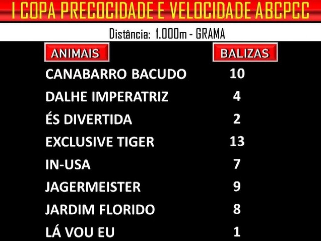 Foto: Copa Precocidade e Velocidade ABCPCC: balizamento da final