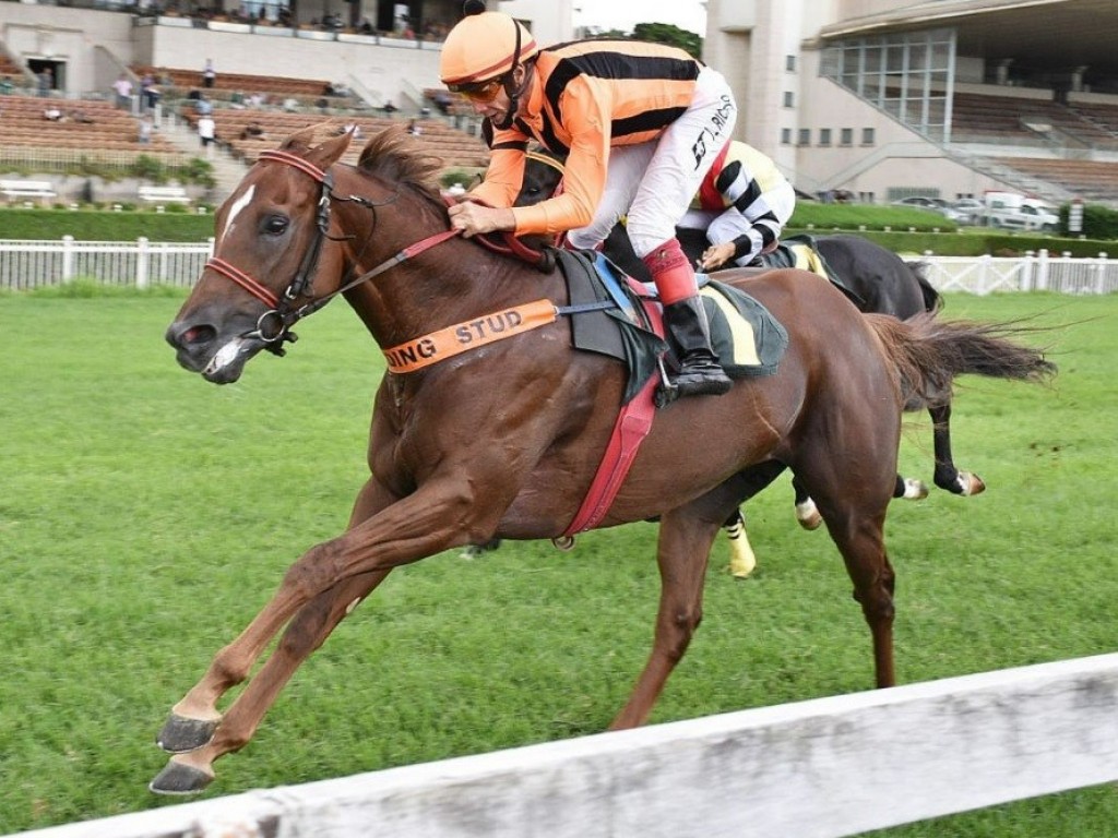 Foto: Bien Sureño mantém rotina de vitórias no GP Presidente do Conselho do Jockey Club (G2)