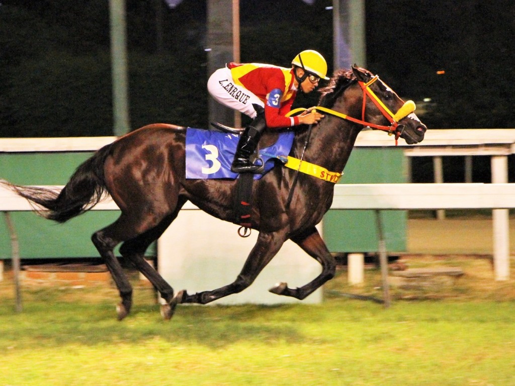 Foto: In Copa revela-se milheiro de alto padrão e vence o Clássico Itajara (L)