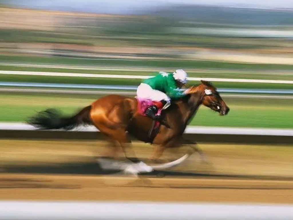 Foto: Remates da final da Copa Precocidade e Velocidade ocorrerão na sexta, às 19h, no Cena Jockey