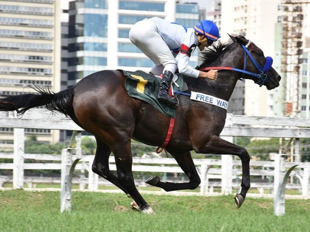 Foto: Aglow Way levanta o Grande Prêmio Doutor Enio Buffolo (G3)