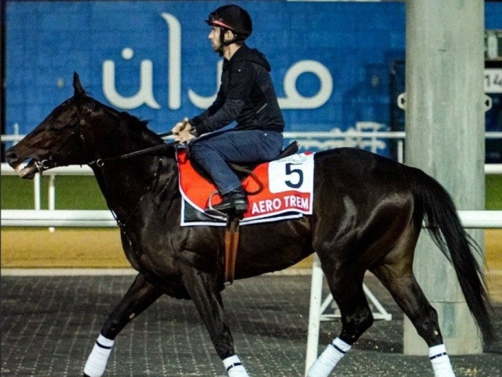 Foto: Aero Trem larga na 2 na Dubai World Cup. No Derby, Kiefer parte da 15