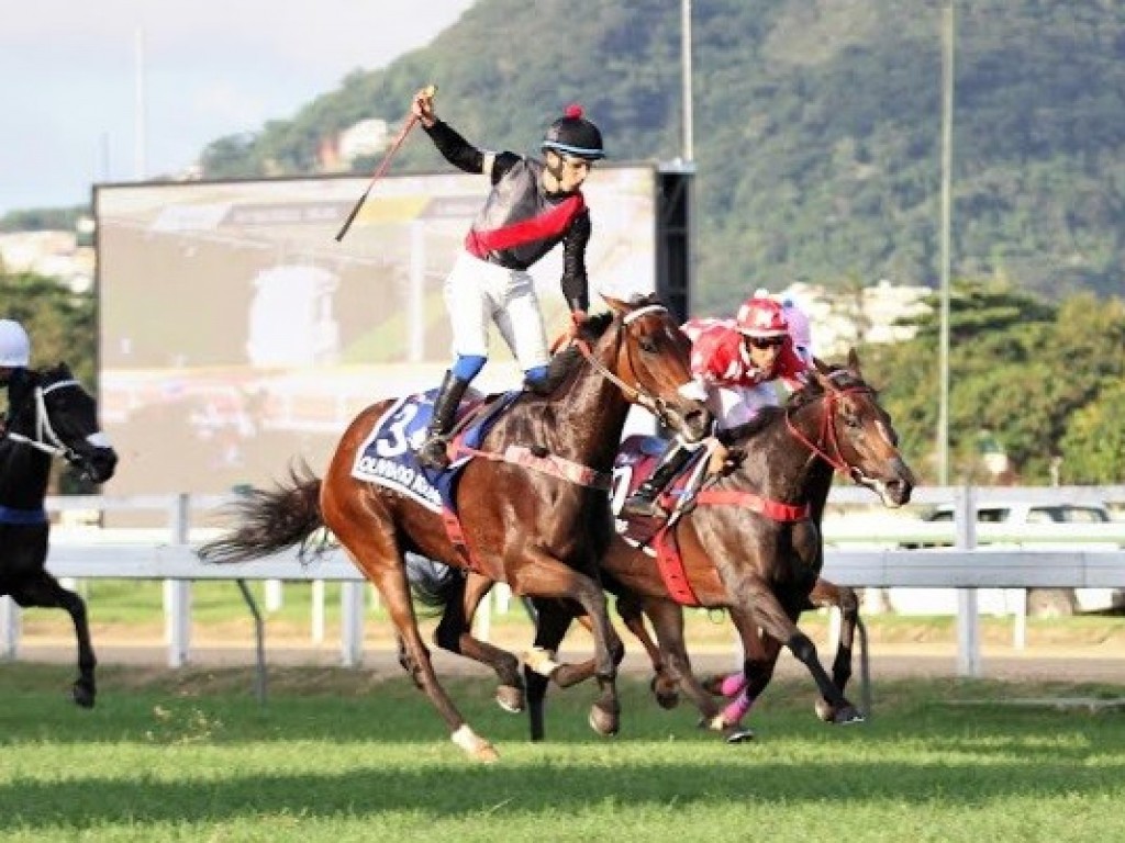 Foto: Olivia do Iguassu vai à Gávea para brilhar no GP Zélia Gonzaga Peixoto de Castro (G1)