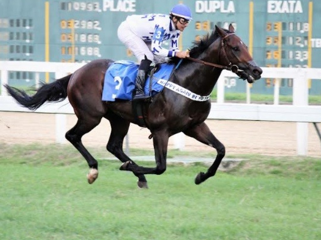 Foto: No Clássico Jockey Club de São Paulo (L), melhor para Overath