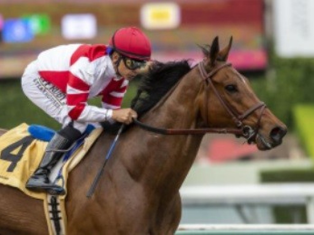 Foto: EUA: Royal Ship reaparece com vitória esmagadora no John Shear Mile Stakes (L)