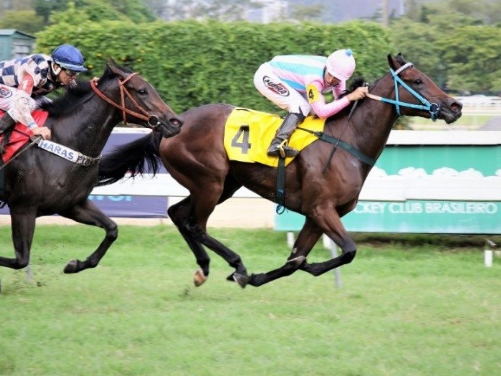 Foto: De ponta a ponta, Little Beauty vence o GP Luiz Fernando Cirne Lima (G3)