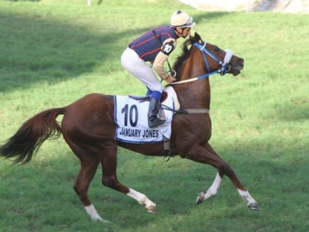 Foto: Mercado: Salto Olímpico e January Jones seguem para a Ásia