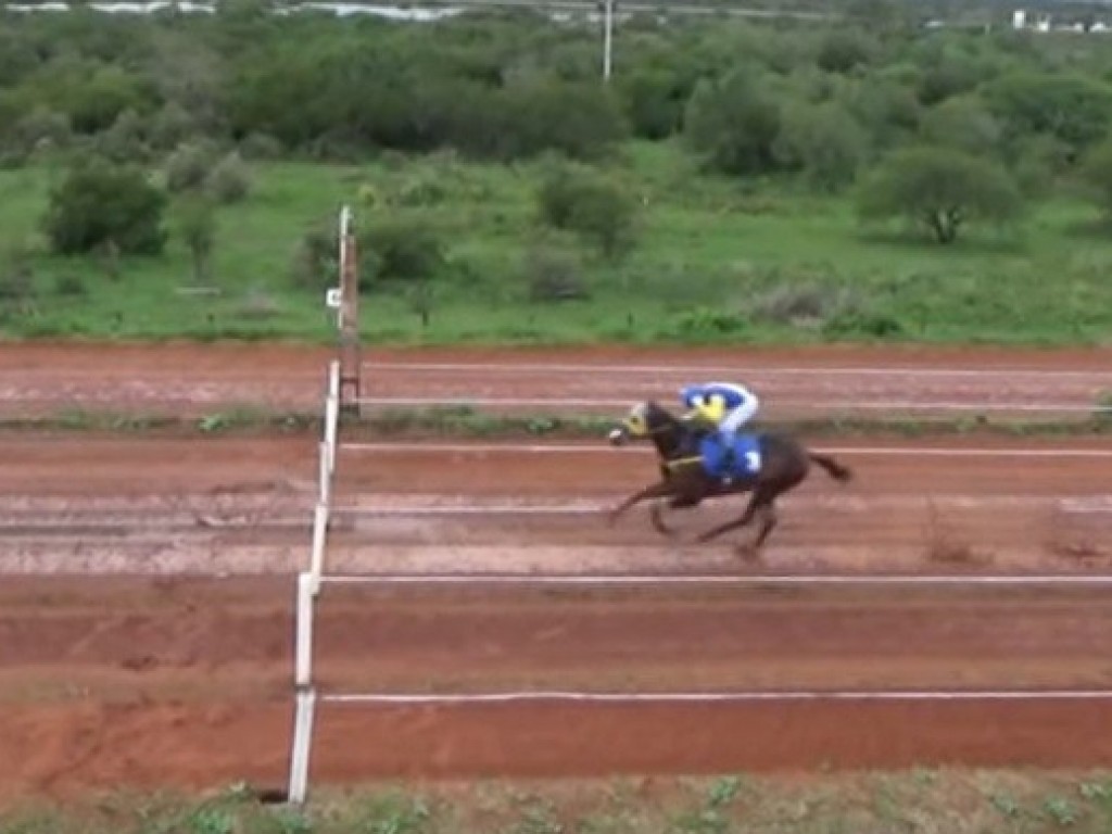 Foto: Cancha reta: Bico Branco foi o melhor no Alegrete