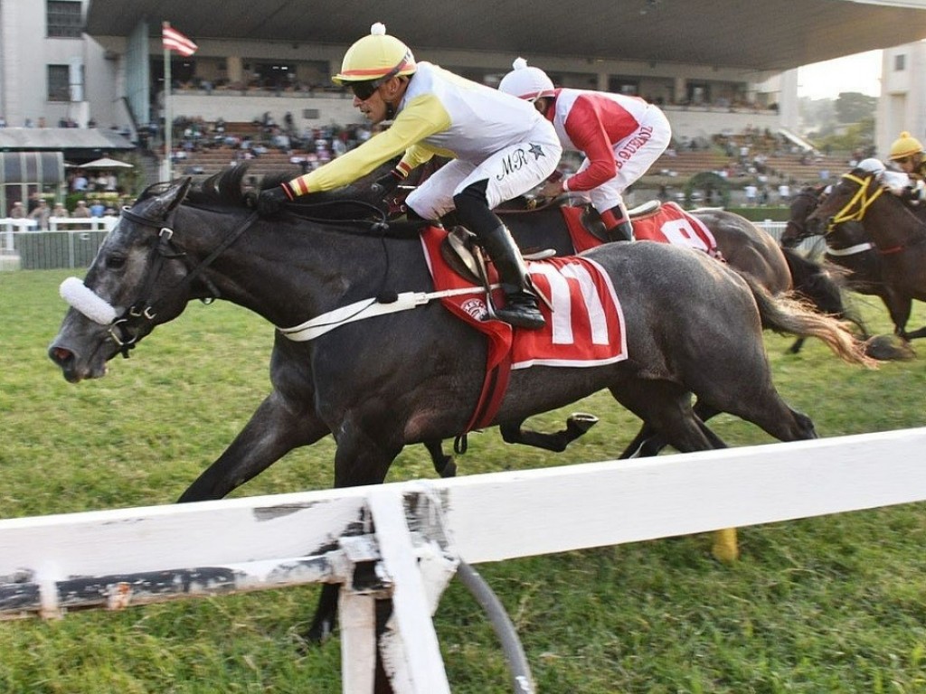 Foto: Em final emocionante, Deusa conquista o Grande Prêmio OSAF (G1)