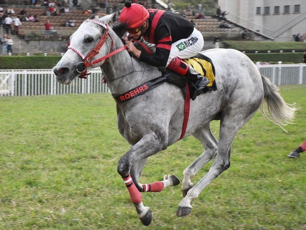 Foto: Na Prova Especial Off The Way, vitória firme de Rosa Maria