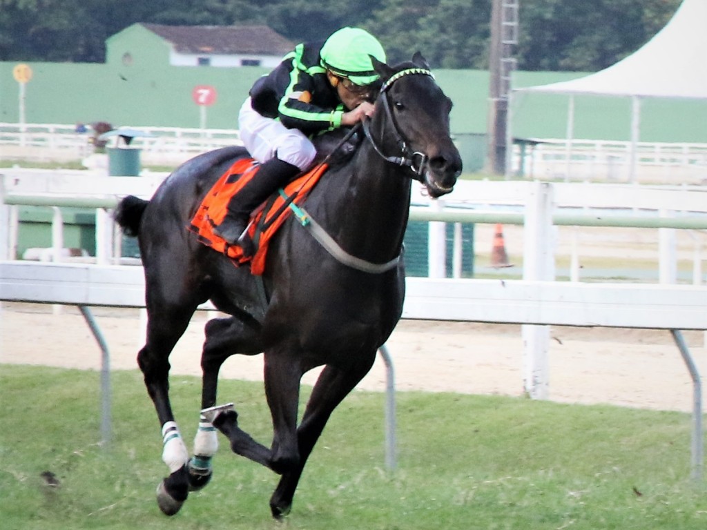 Foto: Em final conturbado, Call It Magic levanta o GP Hipódromo da Gávea (G3)