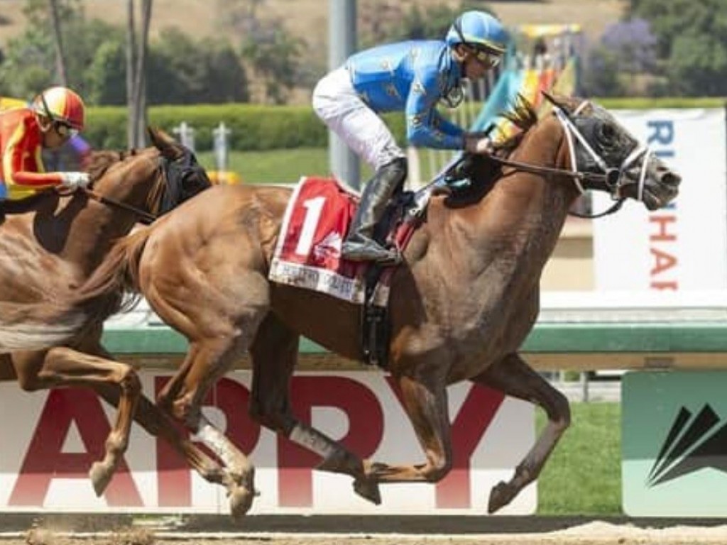 Foto: Royal Ship entra terceiro na Hollywood Gold Cup (G1)