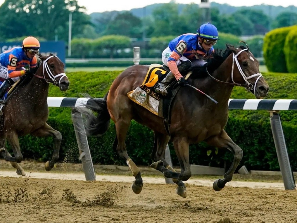 Foto: Mo Donegal confirma no Belmont Stakes; Flightline encanta na Met Mile.