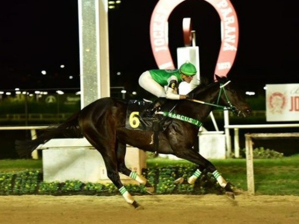 Foto: Derby Paranaense: Cyrus Storm protagoniza espetáculo em Curitiba