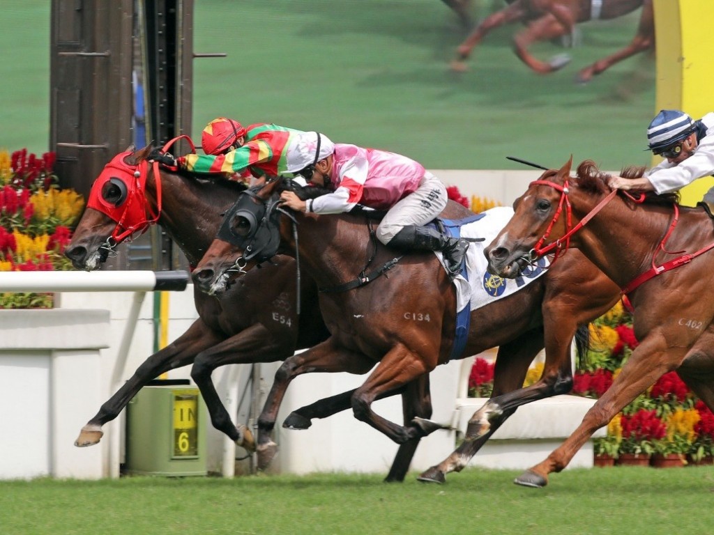 Foto: Em Hong Kong, Halston garante terceiro no Premier Plate (G3)