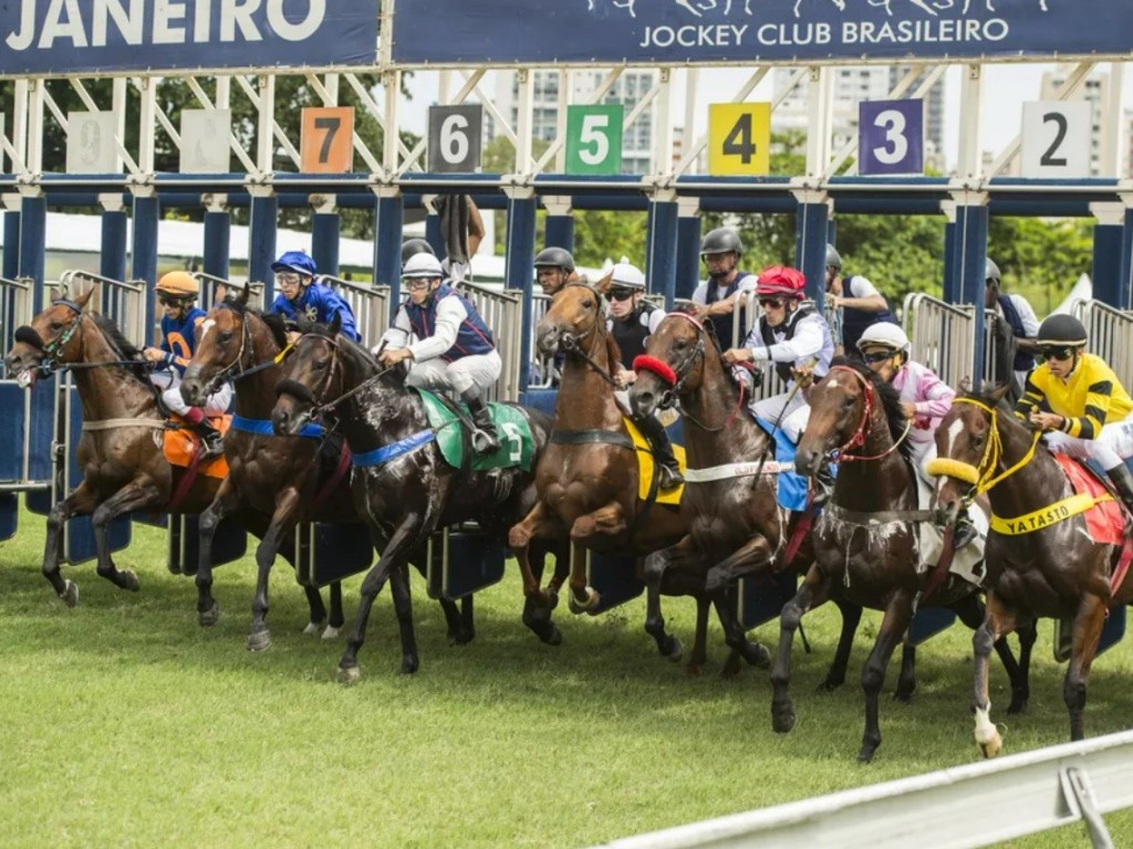 Foto: Da grande mídia às balizas, GP Brasil aflora emoções da comunidade turfística