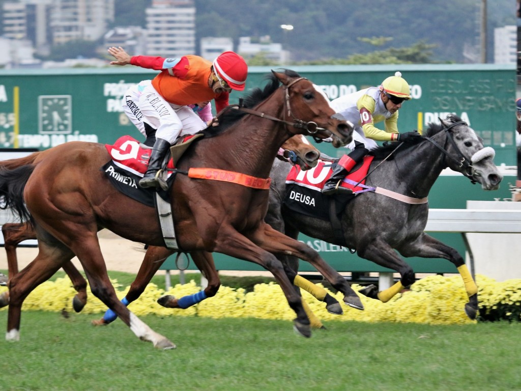 Foto: Primeta brilha no GP Roberto e Nelson Grimaldi Seabra (G1) – Haras Anderson