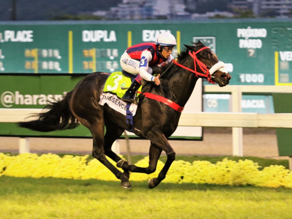 Foto: Rainha da velocidade, In Essence é bicampeã do GP Major Suckow (G1)