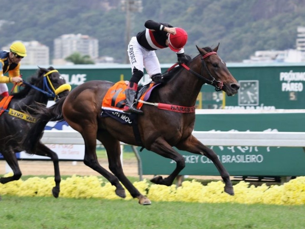 Foto: London Moon: soberano no GP Jockey Club Brasileiro (G1) – Haras Santa Rita da Serra