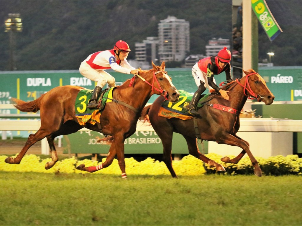 Foto: Nautilus levanta a Gávea: o campeão do Grande Prêmio Brasil (G1)