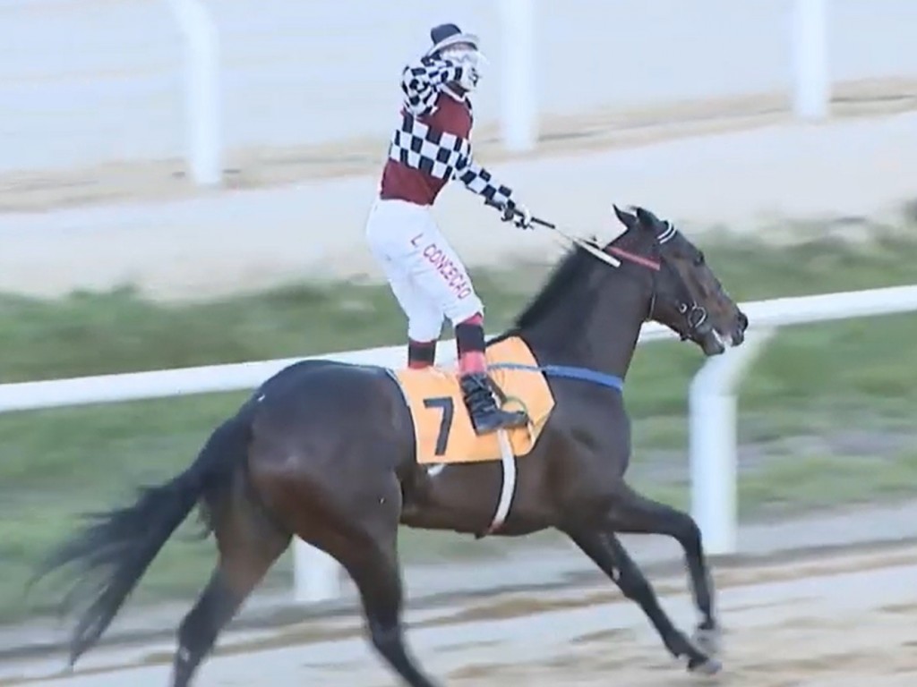 Foto: Moro do Kentucky sobe com sucesso à milha e vence a Taça de Cristal (L)