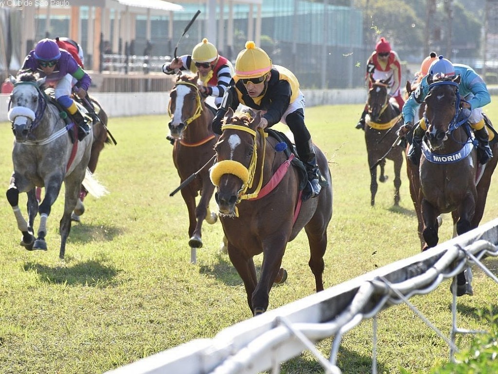 Foto: Cavalo de ferro, Índigo Guerreiro vence a PE Cacique Negro