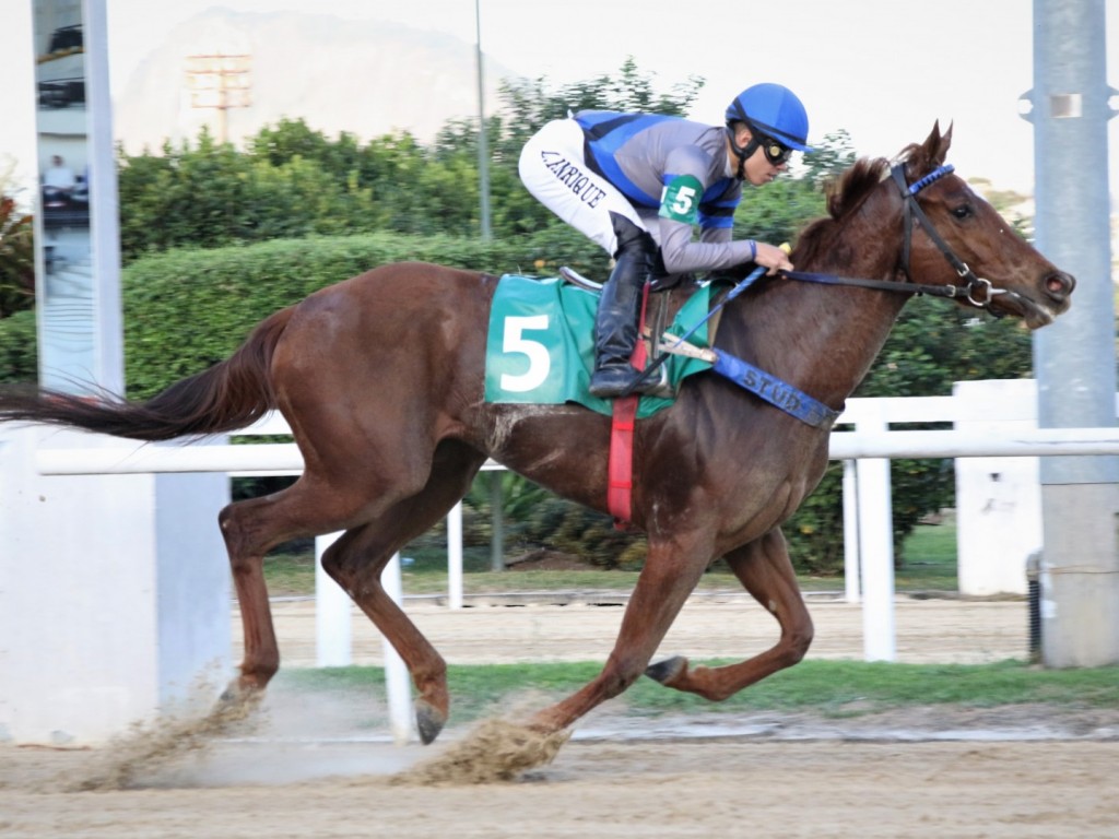 Foto: Jullipe vence e convence na Prova Especial Garbosa Bruleur