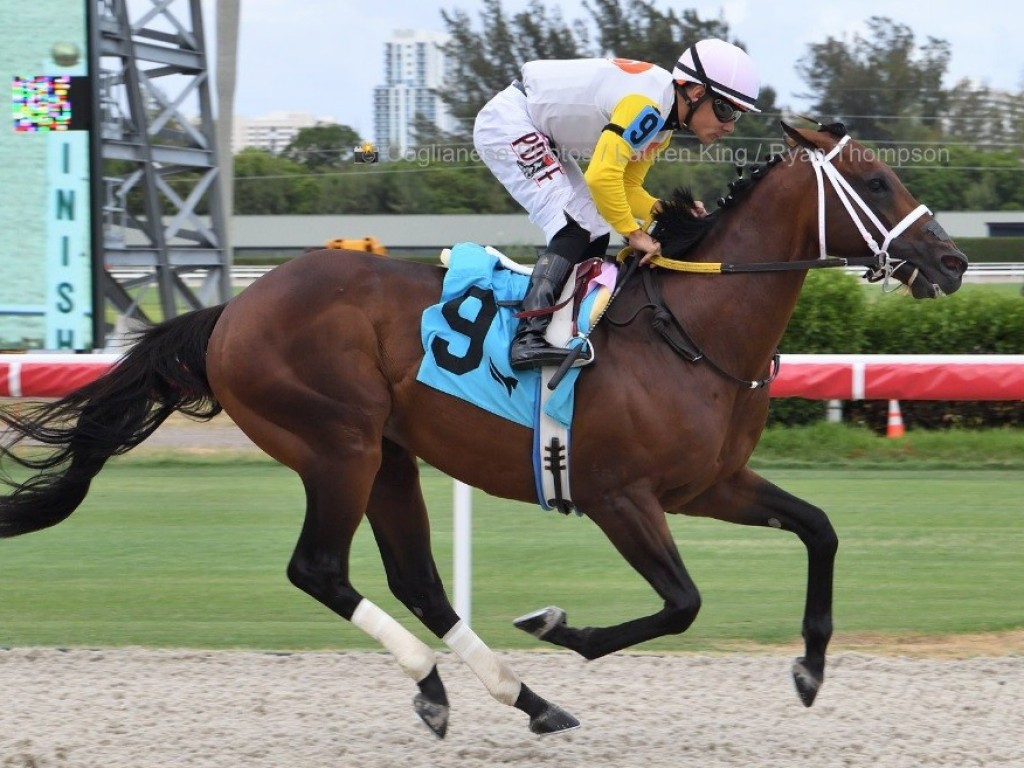 Foto: De volta a Gulfstream Park, Novo Sol vence handicap