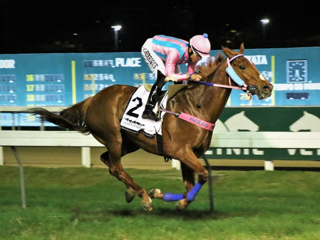 Foto: Justice Girl confirma favoritismo no GP Onze de Julho (G2)