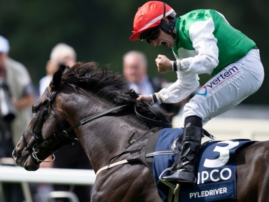 Foto: Pyledriver surpreende os mais visados no King George VI & Queen Elizabeth Stakes (G1)