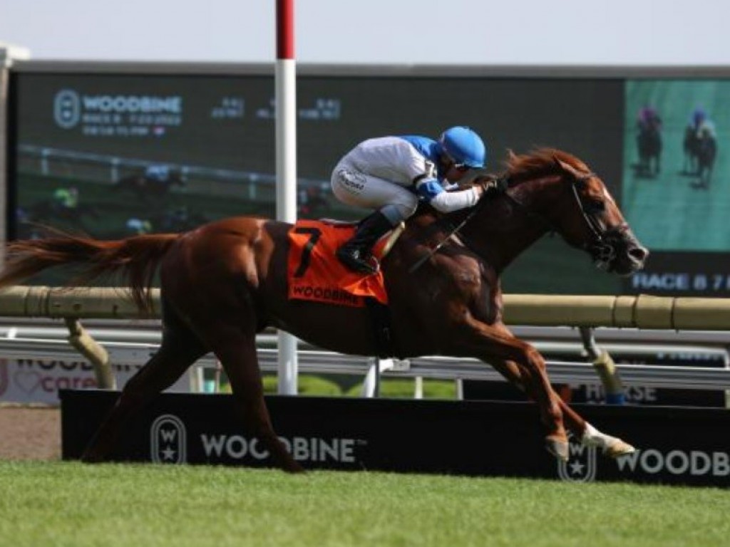 Foto: Filo di Arianna liquida o Connaught Cup Stakes (G2) em Woodbine