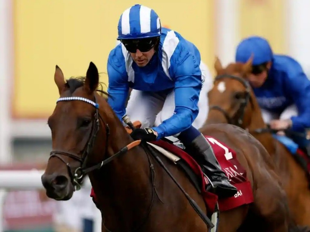 Foto: Baaeed chega a 9 corridas de invencibilidade no Sussex Stakes (G1)