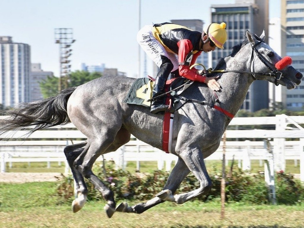 Foto: Clássico Farwell: Drautec faz brilhar as cores do Haras Belmont