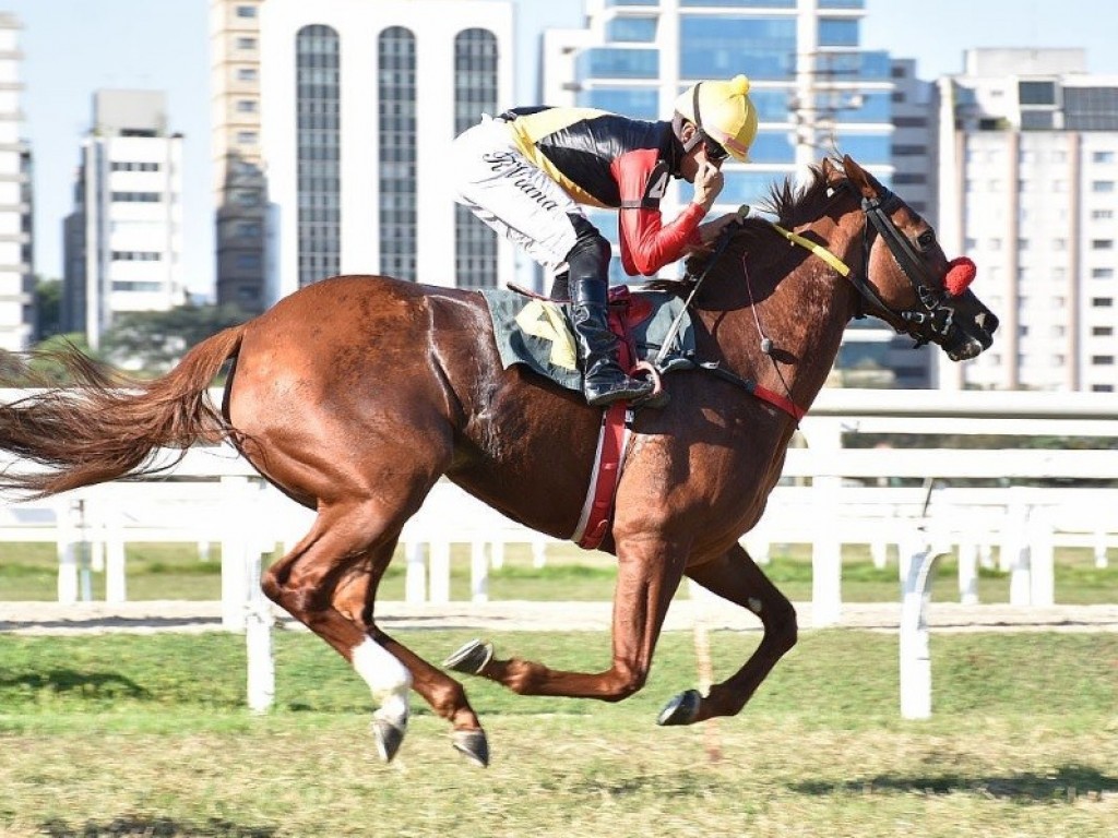 Foto: Clássico Emerald Hill: Lucca Love vence e vai ao "Barão" como força!