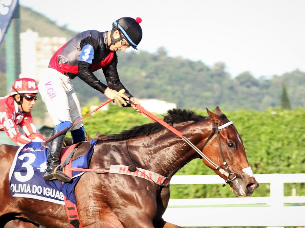 Foto: Éguas na pista: é a Copa ABCPCC Gonçalo Borges Torrealba