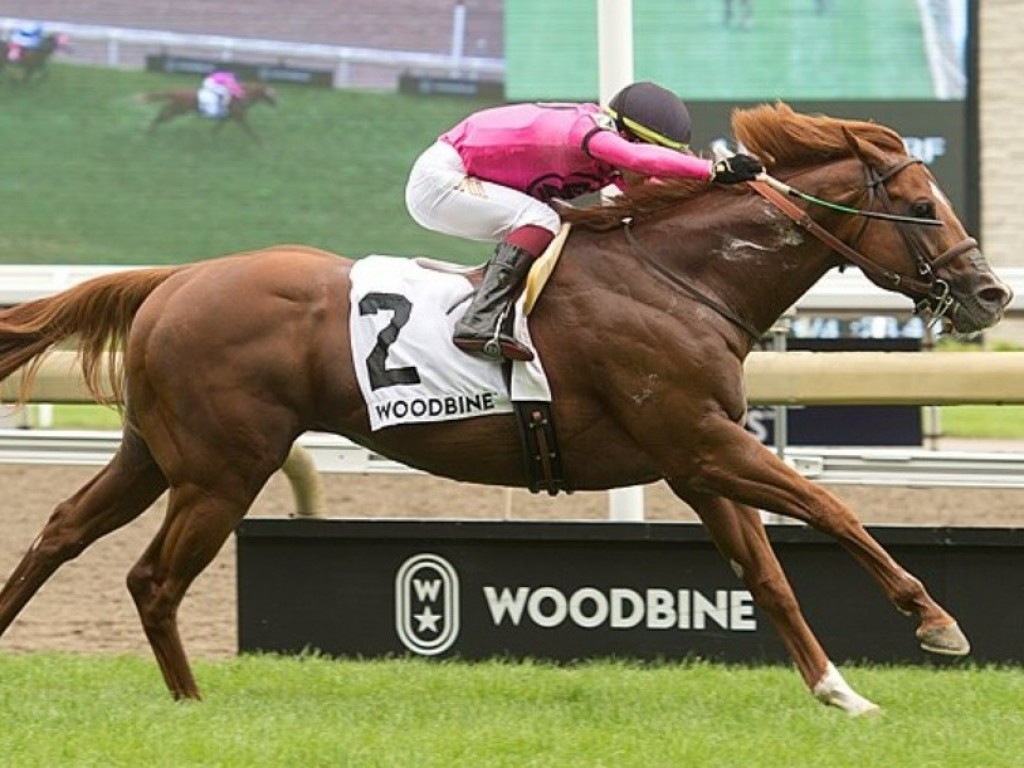 Foto: Filo Di Arianna mostra que é o melhor milheiro do Canadá no King Edward Stakes (G2)