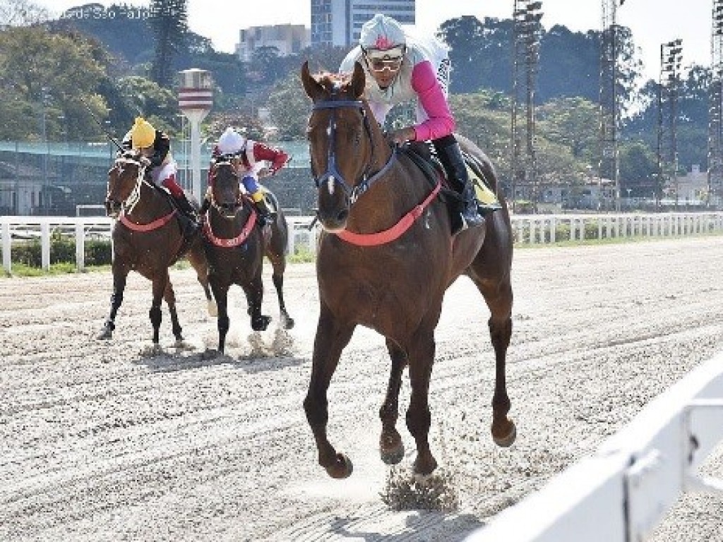 Foto: Vijay demonstra superioridade no Clássico Nelson de Almeida Prado (L)