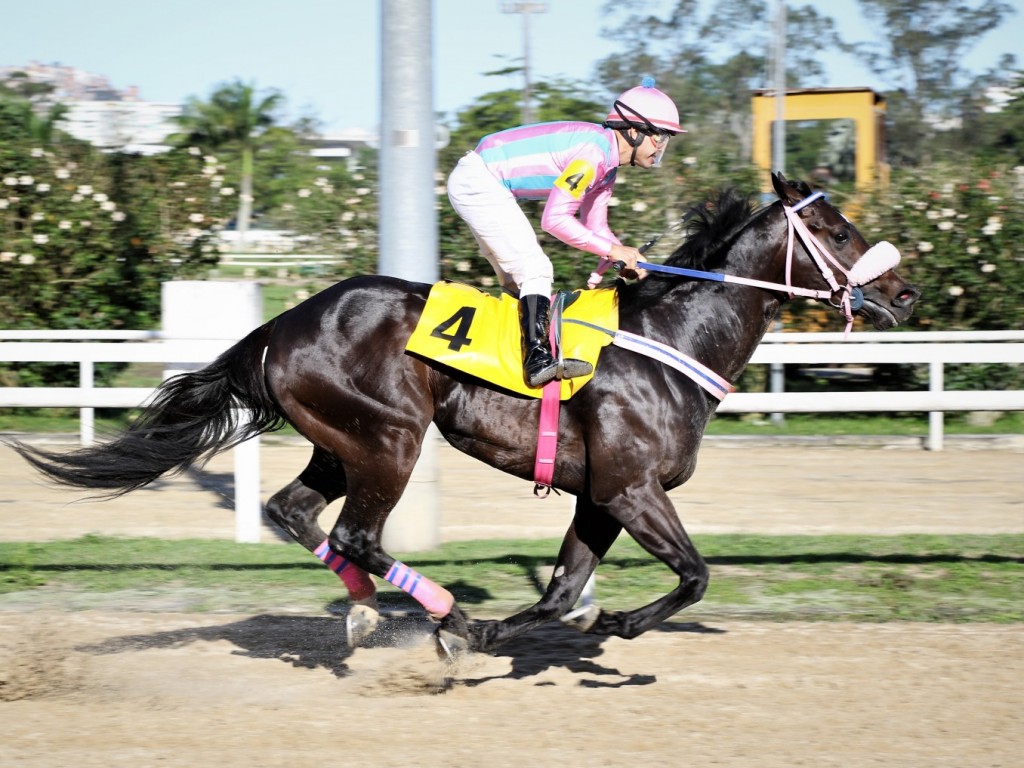 Foto: John Bull comanda dobrada do Haras Sweet Carol no Clássico Eurico Solanés (L.)