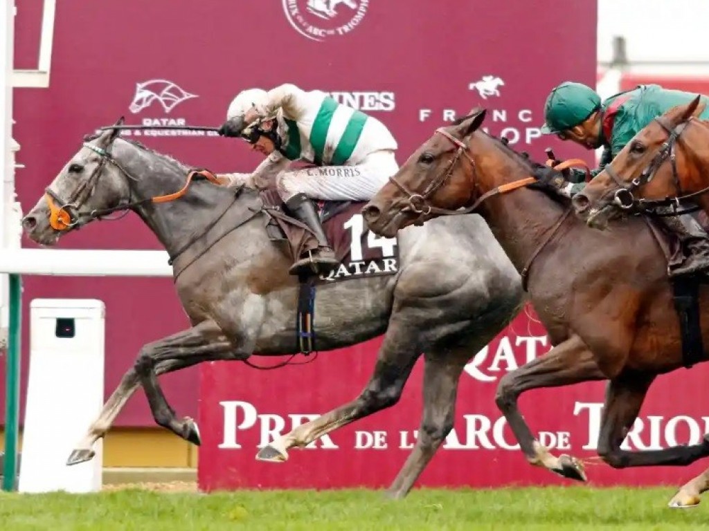 Foto: Alpinista alcança a glória no Prix l’Arc de Triomphe (G1)